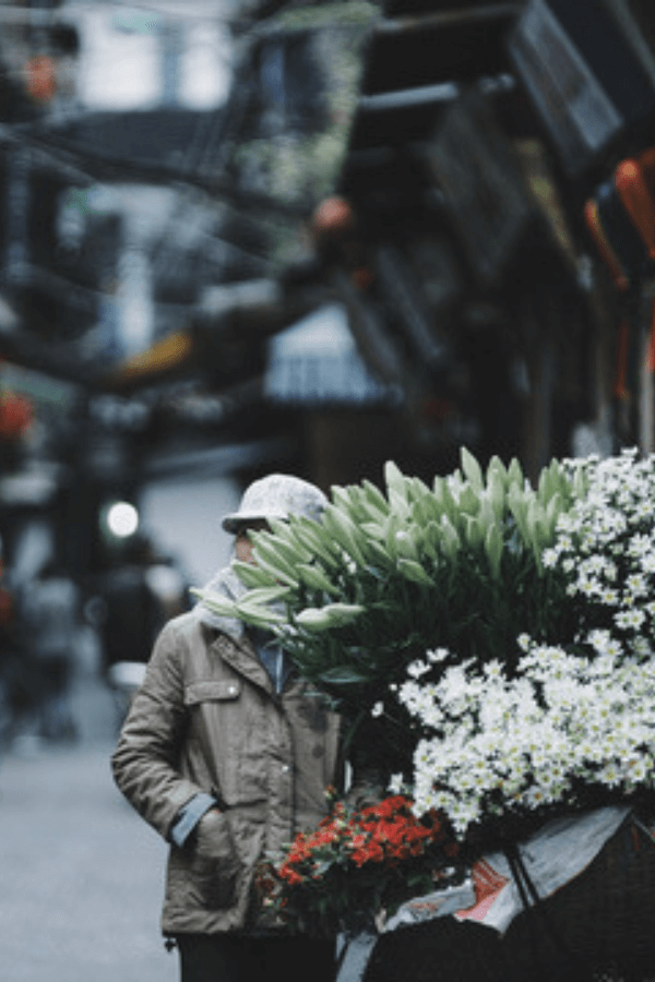 Winter-in-Northern-Vietnam-tour-packages