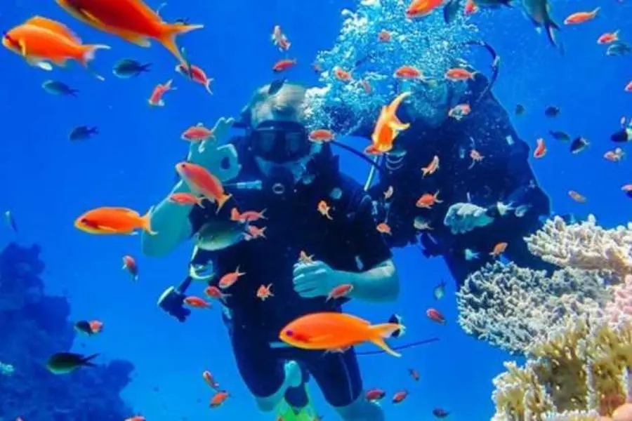 Vietnam Adventure - Diving into the Coral Reefs of Nha Trang