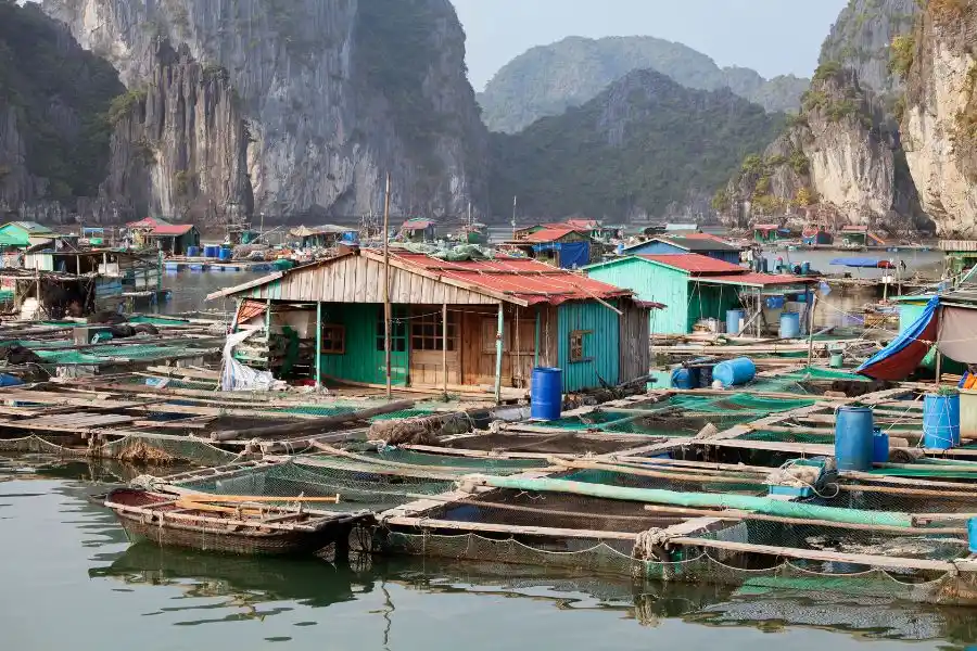 vietnam vacation packages including halong bay