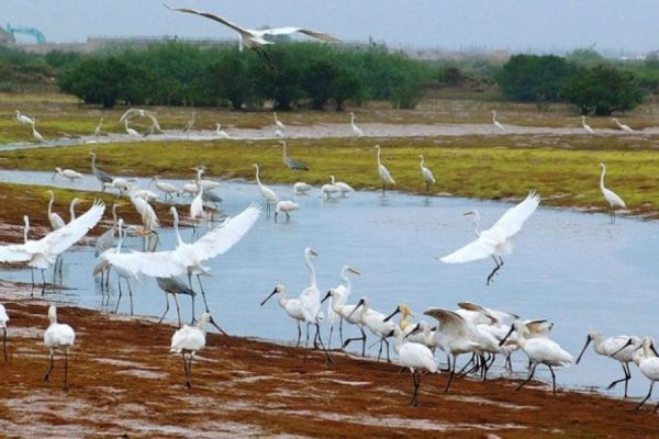 xuan thuy national park vietnam classic tour