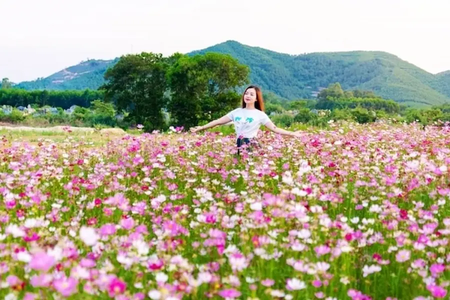 green life farm - vietnam farming experiences