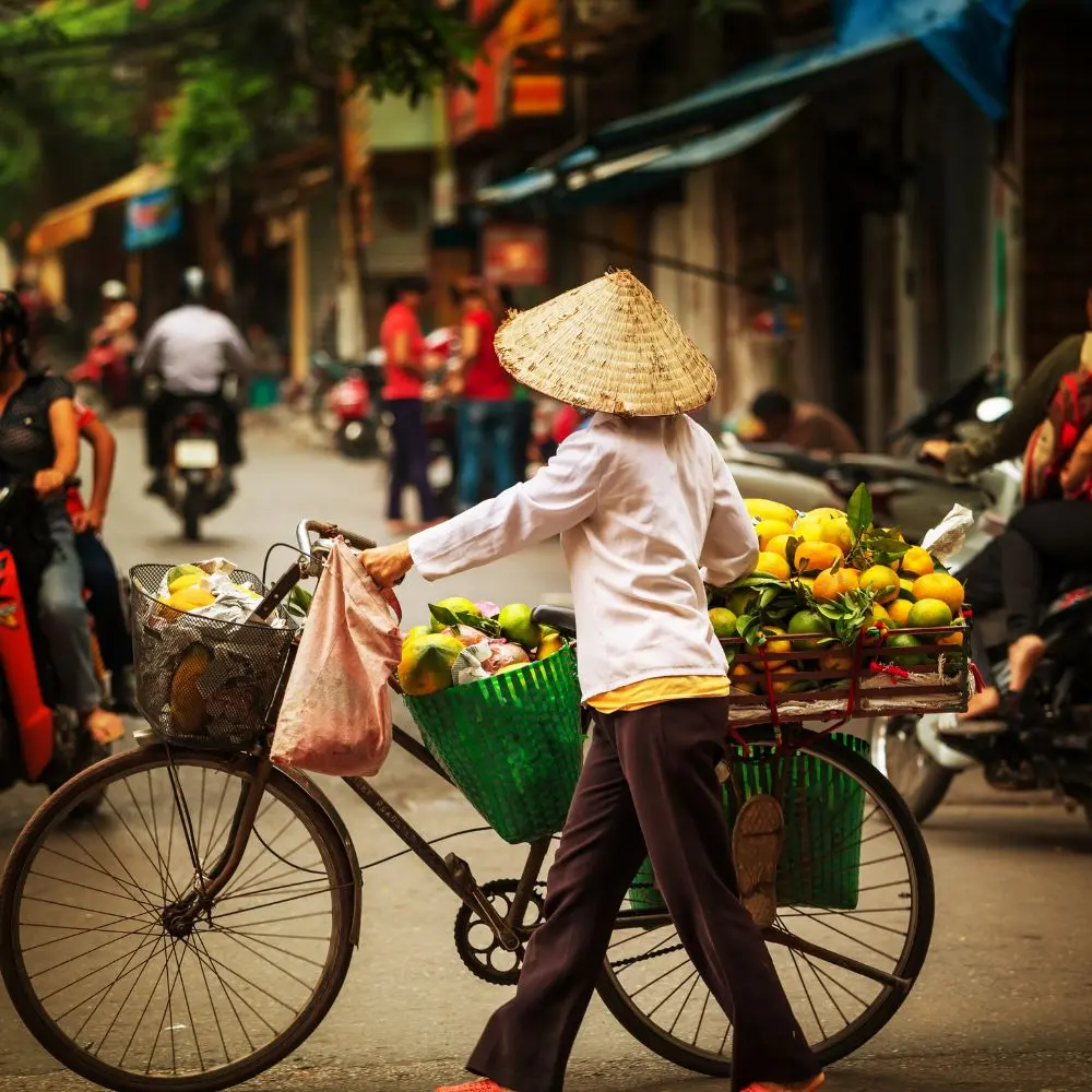 vietnam tour packages provided by viet vision travel