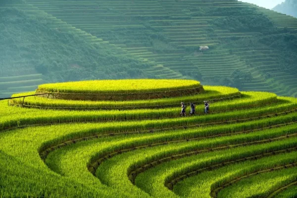 la pan tan village